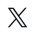 Twitter X icon
